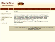 Tablet Screenshot of beetlebase.org